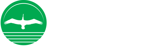 CCNB